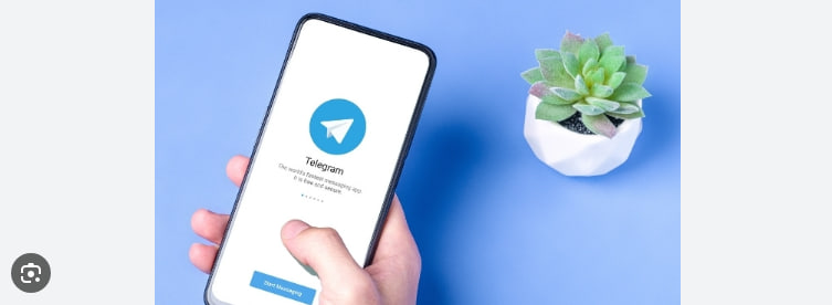 如何管理Telegram频道的订阅者？